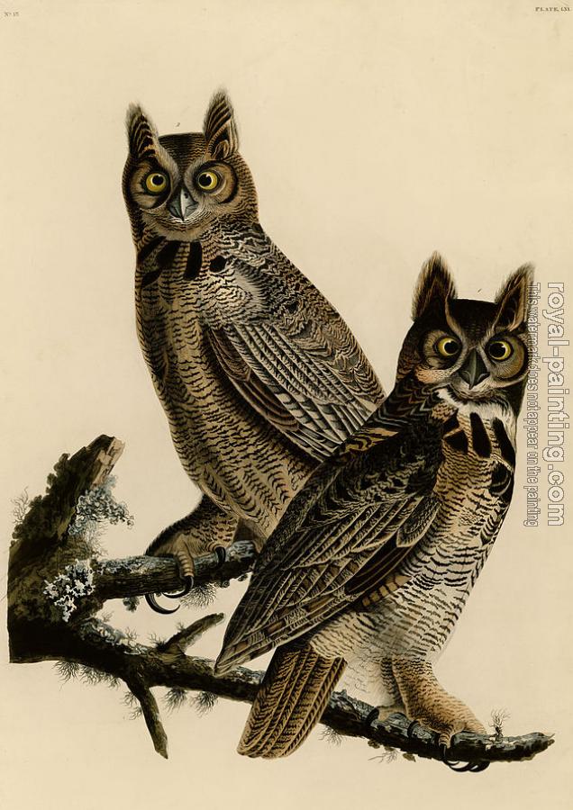 John James Audubon : Great horned owl John James Audubon : Great horned owl